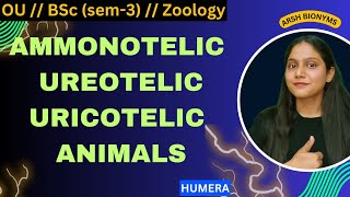 Ammonotelic  Ureotelic  Uricotelic animals  BSc Zoology sem 3  Osmania University humera [upl. by Lorola]