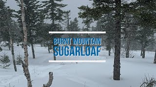 Burnt Mountain  Powder on Sugarloafs Androscoggin Glade [upl. by Marguerite]