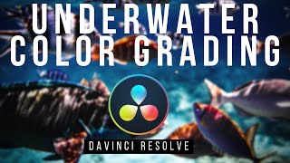 COLOR GRADING Underwater Videos in Resolve A Davinci Resolve Tutorial 2023 [upl. by Dnesnwot]