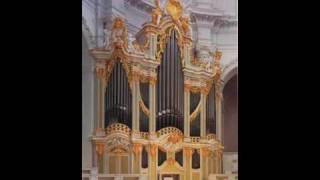 Weinberger BWV 565 Gottfried Silbermann 1755 Dresden Catholic Hofkirche [upl. by Nlycaj]