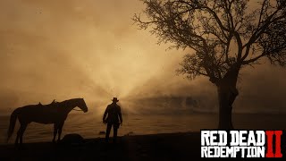 How to install Visual Redemption in Red Dead Redemption 2  How to install graphics mod for RDR 2 [upl. by Theron]