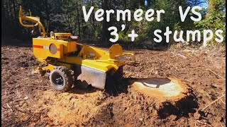 Small 20hp Stump Grinder VS Big Fir Stumps  Vermeer 206 with Greenteeth [upl. by Berenice]