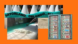 Gatorland Orlando Fl [upl. by Euqinomad533]