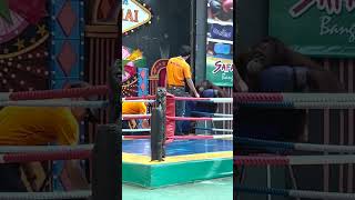 Orangutan Boxing Training in Thailand Please Read Description [upl. by Guthrie]