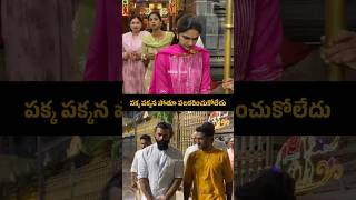 alluarjun Wife snehareddy VS saidharamtej Visit tirumala Same Time shorts ytshorts [upl. by Mannie]