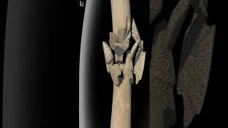 Common Types Of Bone Fracture Explained  3D animation [upl. by Acirehs830]