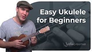 How to Play the Ukulele 4 Easy Chords amp Many Songs [upl. by Uzial]