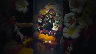 Dena ho to dijiye janam janam ka sath🙏🌹krishna bhajan shyam shortvideo [upl. by Darell206]