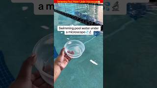 Swimming Pool Water Under Microscope😱 shorts youtubeshorts shortvideo [upl. by Eey809]