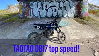 TAOTAO DB17 Top Speed Run [upl. by Everett629]