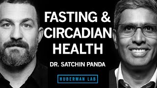 Dr Satchin Panda Intermittent Fasting to Improve Health Cognition amp Longevity  Huberman Lab [upl. by Mungam]