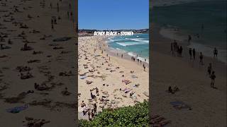 Bondi Beach Sydney 🏊💞⛵️bondi bondibeach sydney australia nsw beachlife beach sunbathing [upl. by Auhsot]