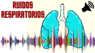 ♐ Crepitantes Sibilantes Roncus Estridor y Murmullo Vesicular Normal 🎓 Semiologia Respiratória [upl. by Poucher]