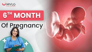 6 Month Pregnancy Baby Growth  6 Month Pregnancy Baby Movement  6 Month Pregnancy Baby Development [upl. by Ludie]