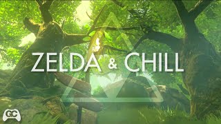 Zelda amp Chill ▸ Lost Woods ▸Mikel Lofi Remix [upl. by Ennalorac]