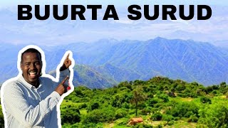 Buurta ugu dheer  BUURTA SURUD  the highest mountain in Horn of Africa [upl. by Arnie]