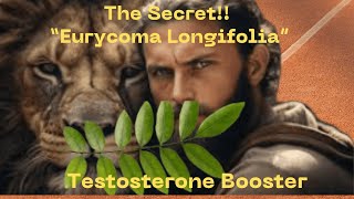 Boost Testosterone and Male Fertility Naturally with Eurycoma Longifolia [upl. by Kerred405]