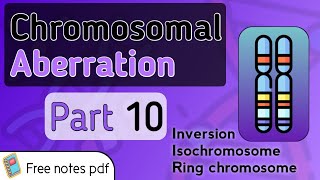 Inversion Isochromosome and Ring chromosomal aberrations [upl. by Aicinet]