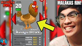 Manok Na Bundat May IBUBUGA Rin  Manok Na Pula Part 34 [upl. by Niro]