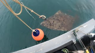 Yakutat Alaska Halibut [upl. by Arrek607]