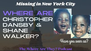 Two Kidnappings at a New York City Park Three Months Apart [upl. by Saxe281]