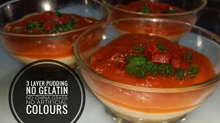 3 LAYER PUDDING  3 LAYER WATERMELON PUDDING [upl. by Lise]