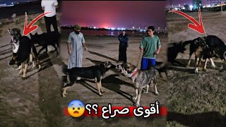 أخيرآ كدرت أكمل جزء من بيت المزرعة 🌲 كلبي الكانجال يفقد السيطرة  😨🔥 [upl. by Grath268]