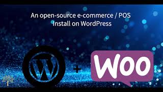 22 To Install WordPress Point of Sale  ecommerce [upl. by Izaak]