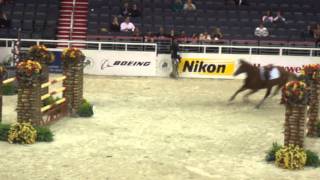 Chaos at the Washington International Horse Show [upl. by Adla]