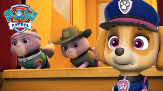 Misja ratunkowa pieski ratują królewskie kocięta  Psi Patrol PAW Patrol po polsku [upl. by Stratton]