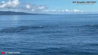 Watch this video before planning your trip to Andamans Port Blair Neil Island [upl. by Quiteris]