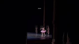 Alice Mariani in an excerpt from Gamzatti’s variation – La Bayadere at La Scala Theatre [upl. by Innavoij]