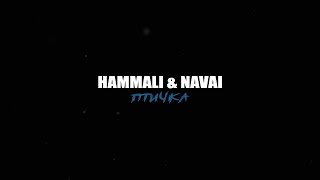 HammAli amp Navai  Птичка [upl. by Yhtamit]