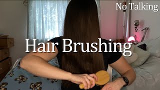 ASMR Hair Brushing  No Talking  Hair over Face [upl. by Talbot671]