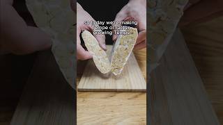 How to make tempeh [upl. by Ettenuahs]