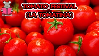 Tomato Festival La Tomatina  Little Reader history story Festival Tomato [upl. by Nerb]