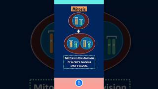 The MUST KNOW Mitosis Basics [upl. by Benedikta]