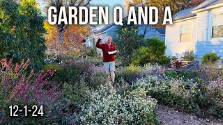 Awesome Garden Questions Answered  Its all about the soil winter watering Holly in the garden [upl. by Innavoeg]