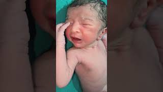 New born baby crying short video [upl. by Oiziruam860]