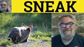 🔵 Sneak Meaning  Sneaky Defined  Sneakers Examples  Essential Vocabulary  Sneak [upl. by Illom]