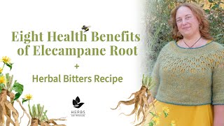 Benefits of Elecampane Root  Elecampane Herbal Bitters Recipe [upl. by Faxun]