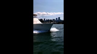 Ultimate Sport Fishing Yacht Post 46 Convertible [upl. by Rebmaed103]