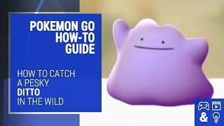 How to Catch Ditto in Pokemon Go  HowTo Guide and Tips [upl. by Chadabe775]