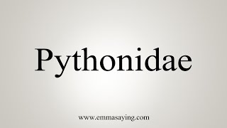 How To Say Pythonidae [upl. by Elmer]