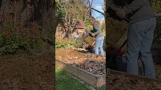 Lasagna Gardening urbanhomesteading diygarden nodiggardening layers raisedbeds fallleaves [upl. by Pokorny565]