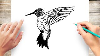 How to Draw A Hummingbird [upl. by Matthews]