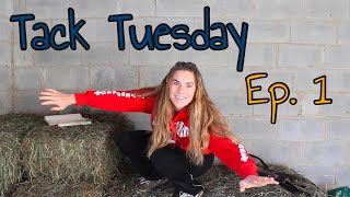 everything WRONG with 5 point breastplates  TACK TUESDAY ep1 [upl. by Rianna]