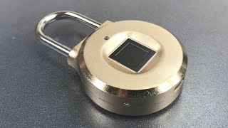 699 Uervoton Fingerprint Padlock Opened With a Screwdriver [upl. by Aicissej222]