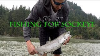 Fishing for Sockeye Salmon  Vancouver BC [upl. by Nalor376]