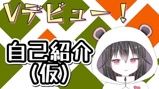 遂にデビュー！新人VTuberが名を名乗るだけの動画です [upl. by Ledoux]